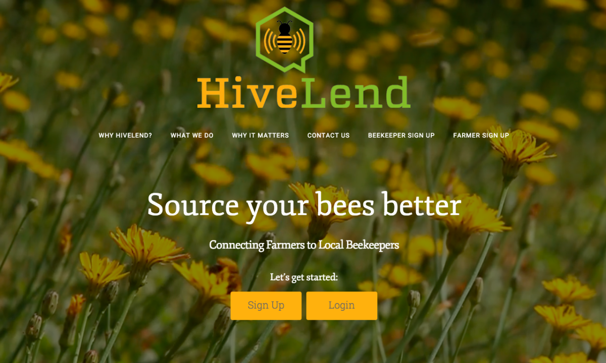 HiveLend homepage